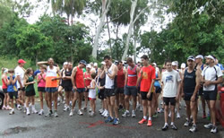0ae57729d1a6 rural view runners