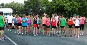 9a27e81b9f01 iluka sandfly1